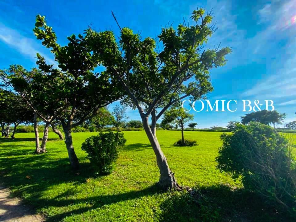 Kenting Comic B&B&Spring Хенгчун Экстерьер фото