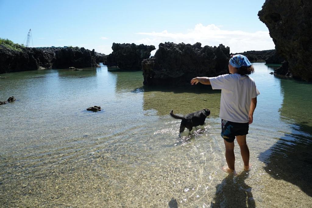 Kenting Comic B&B&Spring Хенгчун Экстерьер фото